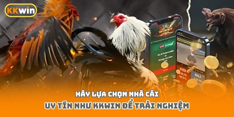 Hãy lựa chọn nhà cái uy tín như Kkwin để trải nghiệm