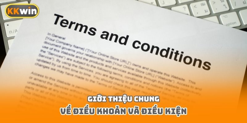 Giới thiệu chung về điều khoản và điều kiện